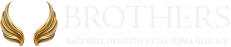 Brothers_audit_logo